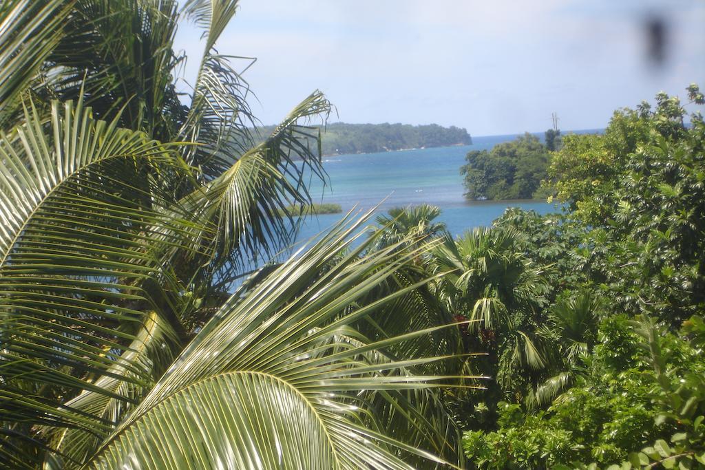 Finjam Cottage Port Antonio Dış mekan fotoğraf