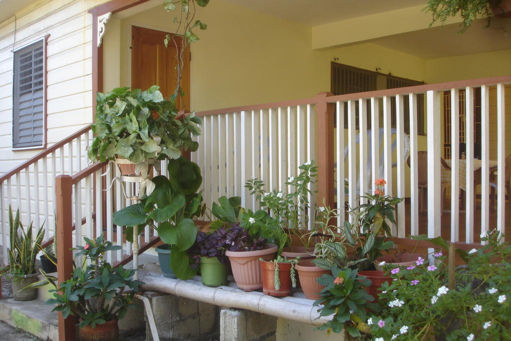 Finjam Cottage Port Antonio Dış mekan fotoğraf