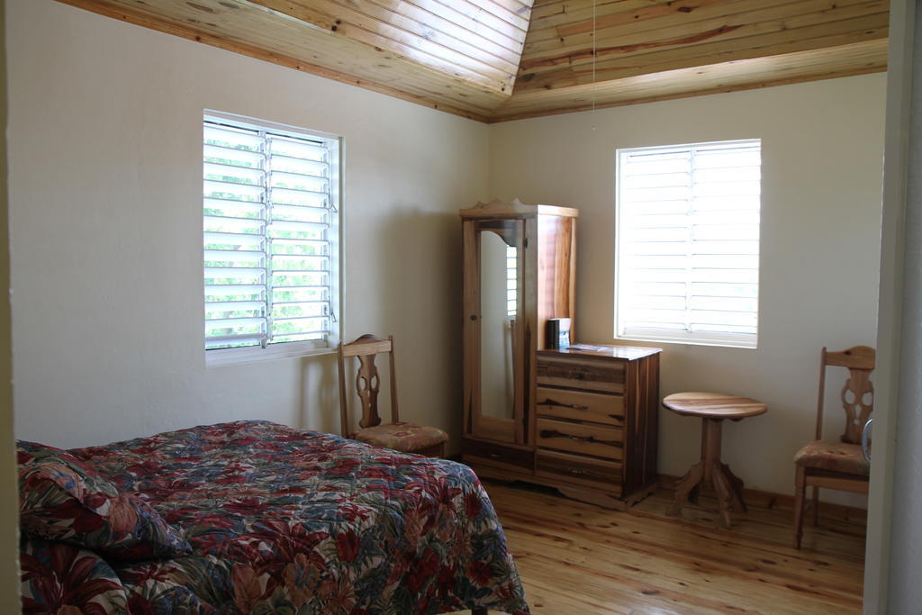 Finjam Cottage Port Antonio Oda fotoğraf